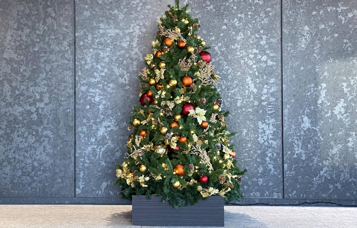 JR横浜タワーのクリスマスツリー
